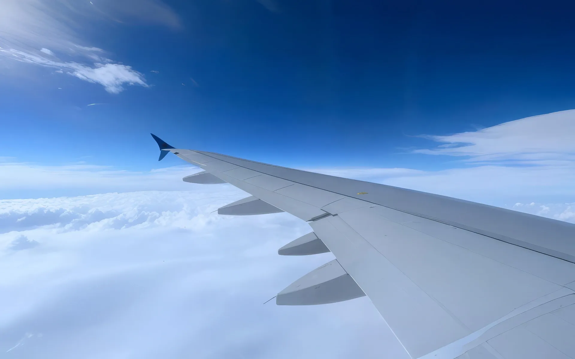 Business Class Flights